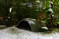 Axolotl H&ouml;hle Toreingang 18 cm &Oslash; Iglu-H&ouml;hle