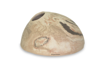 Iglu-H&ouml;hle 9 cm &Oslash; f&uuml;r Apistogramma