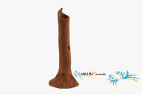 Garnelenstamm 10 cm