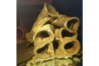 Welsturm Aquarium 7 R&ouml;hren f&uuml;r Jungwelse, Garnelen