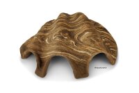 Axolotl H&ouml;hle M&ouml;rdermuschel "Tridacna"