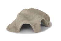Axolotl H&ouml;hle M&ouml;rdermuschel "Tridacna"