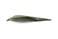 Aquarium Versteck Tonblatt 25 cm Kastanie
