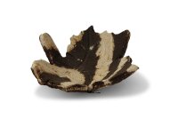Futterschale Tonblatt Ahorn 6 cm