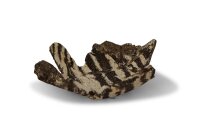 Futterschale Tonblatt Ahorn 6 cm