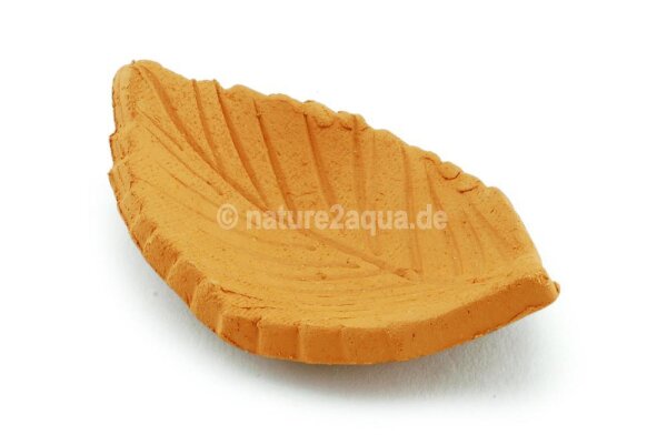 Futterschale Tonblatt Buche 6 cm