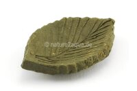 Futterschale Tonblatt Buche 6 cm