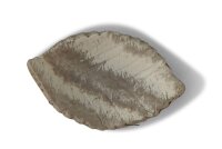 Futterschale Tonblatt Buche 6 cm