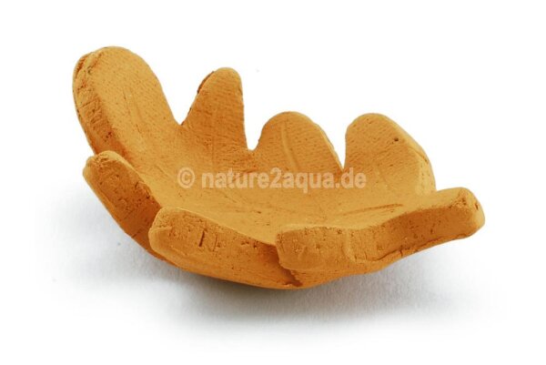 Futterschale Tonblatt Stieleiche 6 cm
