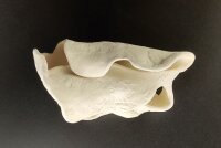 Handgearbeiteter Felsen aus Ton Koralle aus Ton f&uuml;r Aquarium - Unikat KorallenArt - D6