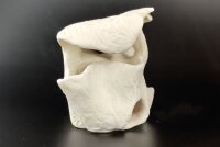 Handgearbeiteter Felsen aus Ton Koralle aus Ton f&uuml;r Aquarium - Unikat KorallenArt - D8