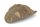 Axolotl H&ouml;hle Schneckengeh&auml;use "Apex"