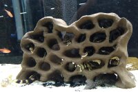 Welsh&ouml;hle Versteckstein gro&szlig; f&uuml;r...