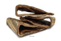 Welsh&ouml;hle Spaltenh&ouml;hle offen Calvus-Form