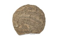 Steinh&ouml;hle Steinstruktur 18 cm &Oslash; Toreingang