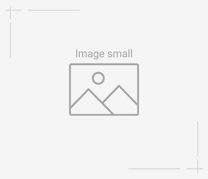 image-small.jpg